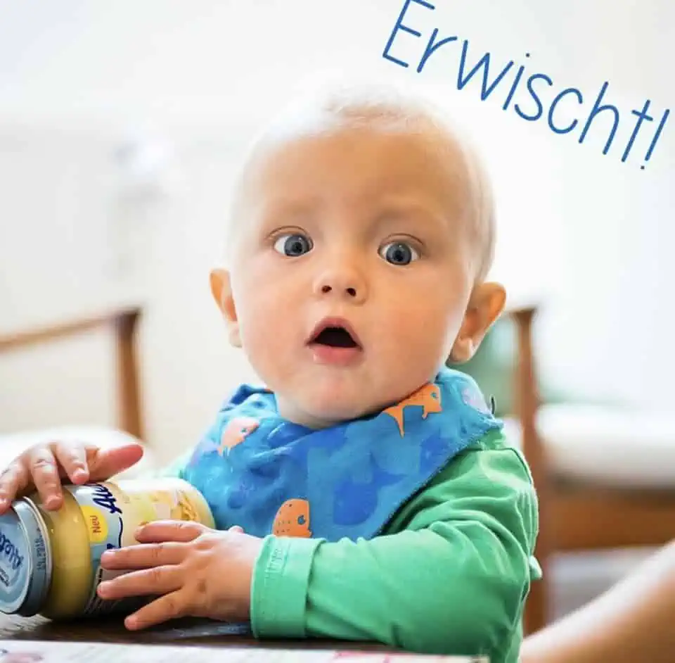 Hủ dinh dưỡng Alete - Ảnh 3