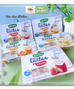 Sữa chua nguội Bledina Pháp