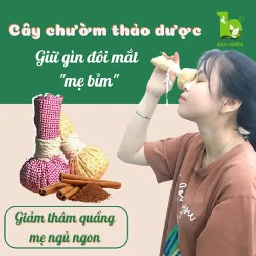 Cây chườm mắt thảo dược Bảo Nhiên
